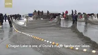 Winter fishing underway at Chagan Lake
