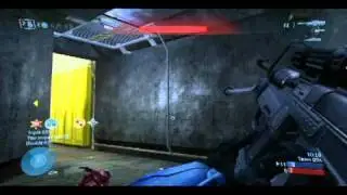 halo 3 minitage essteem uk