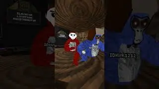 Gorilla tag. But I found another IDK VR. In my fan code.
