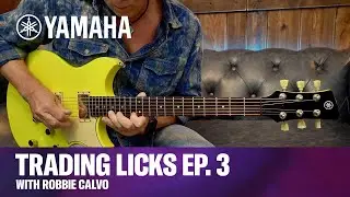 Trading Licks Episode 3 - Guitar Lesson - Intervallic Lines