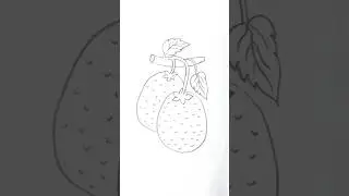 How to draw a Lychee #art #shorts #pencildrawing #pencilsketch #tutorial