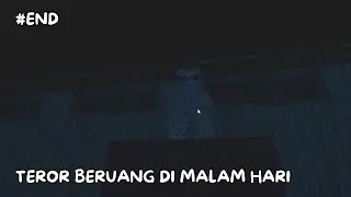 AWAS ADA BERUANG JADI JADIAN