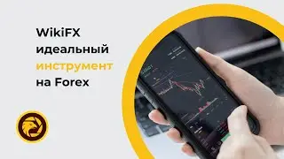 WikiFX - идеальный инструмент для тех, кто хочет успешно торговать на Forex