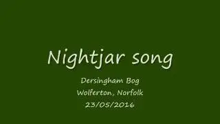 Nightjar churring - audio only
