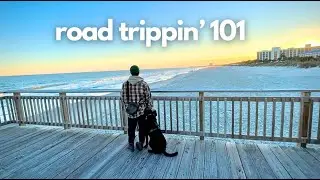 my road trip rules: driving from NY to Florida and back (with my dog)