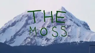 THE MOSS - A RETRO STYLES SQUAMISH ROCK FILM