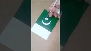 Drawing Pakistan Flag 🇵🇰 #shorts #pakistan #flag #art #youtubeshorts #hafsaartbox