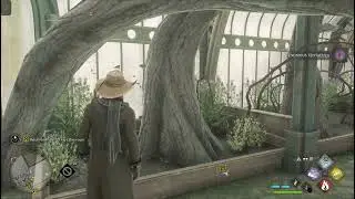 Hogwarts Legacy: Legendary Treasure Chest Location & Venomous Valour Quest Tip