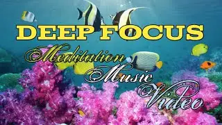 2:48 Minutes Best Meditation music l Meditation Music for focusing on the present