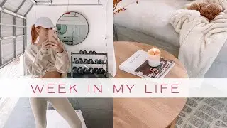 WEEKLY VLOG: garage gym transformation, baking, etc