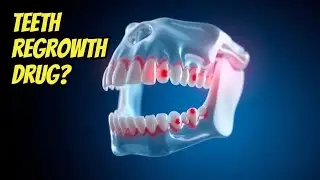 The End of Dentures? Tooth Regrowth Breakthrough Explained!
