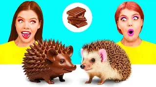 Челлендж. Шоколадная Еда vs Настоящая еда | Смешные Рецепты с Едой от DaZaZa Challenge