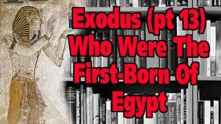 Evidence for the Exodus (part 13): Who were the Firstborn of Egypt in Exod 12:29? #bible