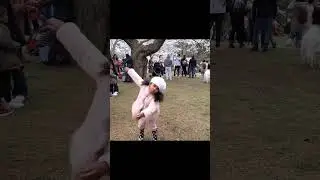 Cherry Blossom, High Park, Toronto. #fypシ #igreels #tiktok #shortsviral #facebook #igviral #toronto