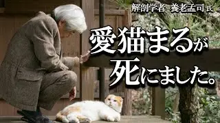 【養老孟司】養老先生の愛猫まるが虹に橋を渡りました。その悲しさと寂しさを養老先生がお話します。