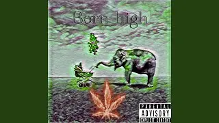 Smokin Reefa