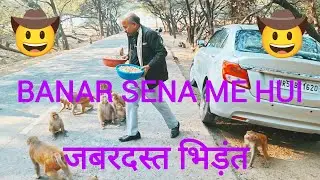 BANAR SENA ME HUI BHIDANT 🐒🐵🤠🔥