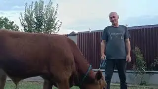 дса(5)