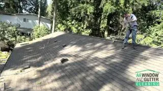 Seattle Roof Cleaning Service | AA Window and Gutter Cleaning