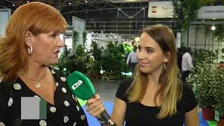 NOTICIA: &Aacute;rbol de los abrazos en el stand de Vivercid
