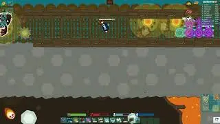 starve.io kills from 2024
