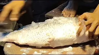 🔴 LIVE Fish Cutting Now | আজ এত বড় মাছ! 😱