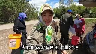 一行五人来山里采野菜，新出的猴腿菜一人采半桶，大自然的馈赠 #大山里的美食 #乡村守护人 #记录真实生活