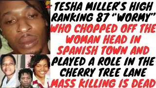 Police KlLL Tesha Miller's Main SH00TER 