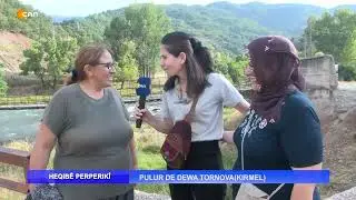 PULUR DE DEWA TORNOVA (KIRMEL)