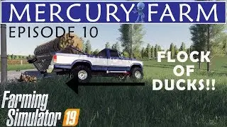 FLOCK OF DUCKS!! | MERCURY FARM | Farming Simulator 19 | Ep. 10