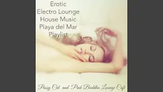 Sunset Lounge (Music Bar)