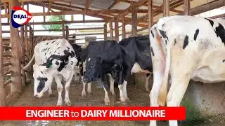 From Software Engineer to Dairy Millionaire in Mukono | Sanga Dairy & Breeding Farm