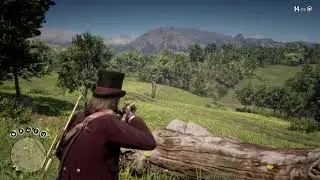 Red Dead 2: Double your horse carry capacity