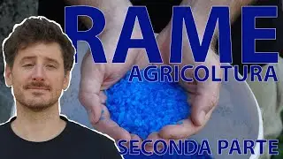 3 AZIONI IMPORTANTI DEL RAME NELLE NOSTRE PIANTE: rame in agricoltura, piante e terreno