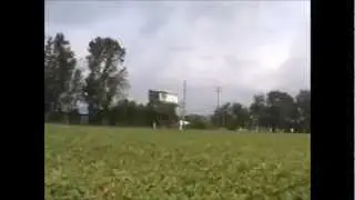 A New Weed Seed Predator?