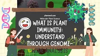 Plant Immunity Explained: Methods to Study Plant Defense Mechanisms