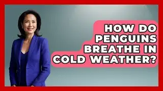 How Do Penguins Breathe In Cold Weather? - Polar Regions Uncovered