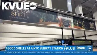 This New York subway station smells like forest air as part of ad campaign