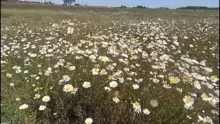 WhatsApp Video 2025 12 06 at 21 37 25