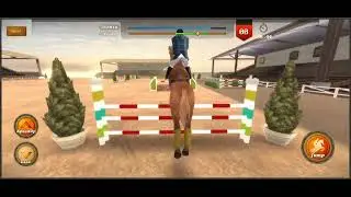 Jumping Horses Champions 3 | Practice for Event | Hashion R.I.F. 2023