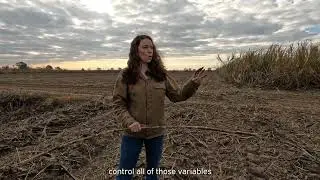 Alma Chronicals - That's Our Terroir | Ep. 9