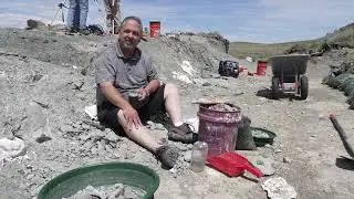 Digging up bones on the Montana Dinosaur Trail