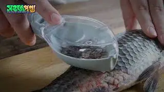 Fish Scale Remover Wholesale