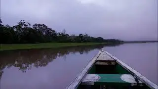 Soundscape on the Colombian side of the Amazon river