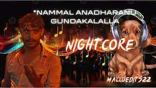 Nammal Anadharanu Gundakalalla NIGHTCORE 🎧👈 #karthikshankar #nightcore #trending #malayalam  #music