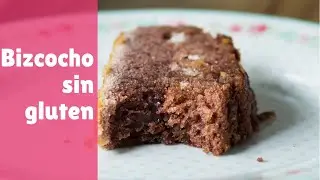 Bizcocho zebra sin gluten / Imetec ZERO GLU