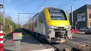Zichem Avril 2022