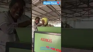 ATMOS GR 350 ECO-10HP Organic Waste Shredder