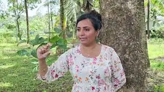 എൻ്റെമേൽ കുറ്റം ആരോപിക്കാൻ ഞാൻ എന്തു തെറ്റാണ് ചെയ്തത്?നിങ്ങൾക്കുള്ള എൻ്റെ മറുപടി 🙏