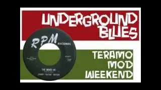 johnny guitar watson - she moves me (rpm)